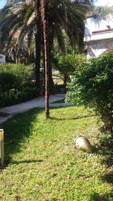 Appartement Taraca Knezevic